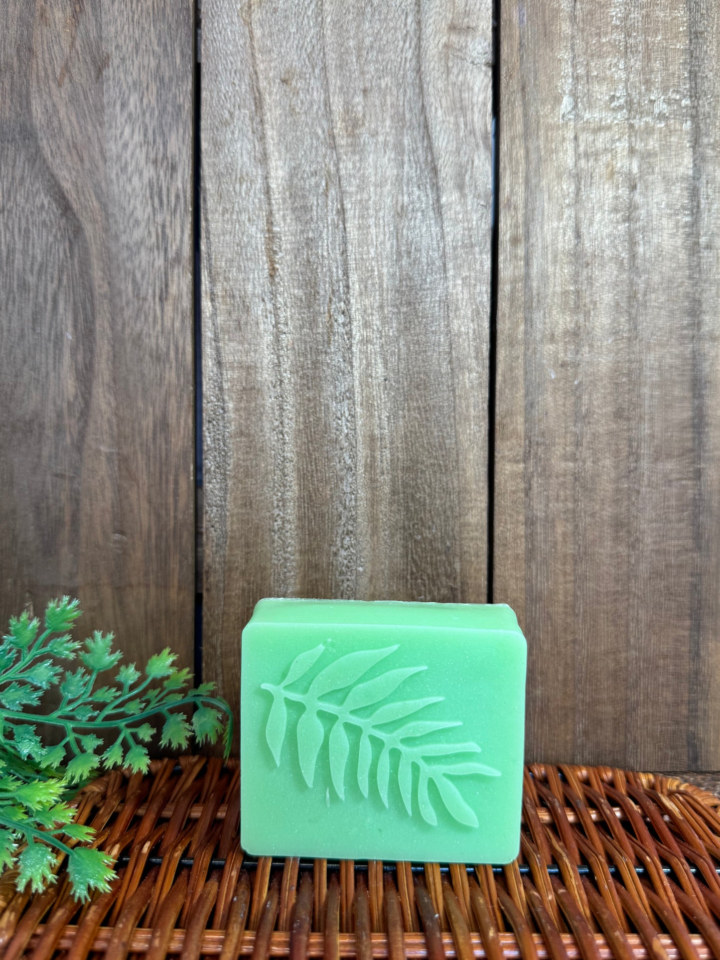 Anise shampoo