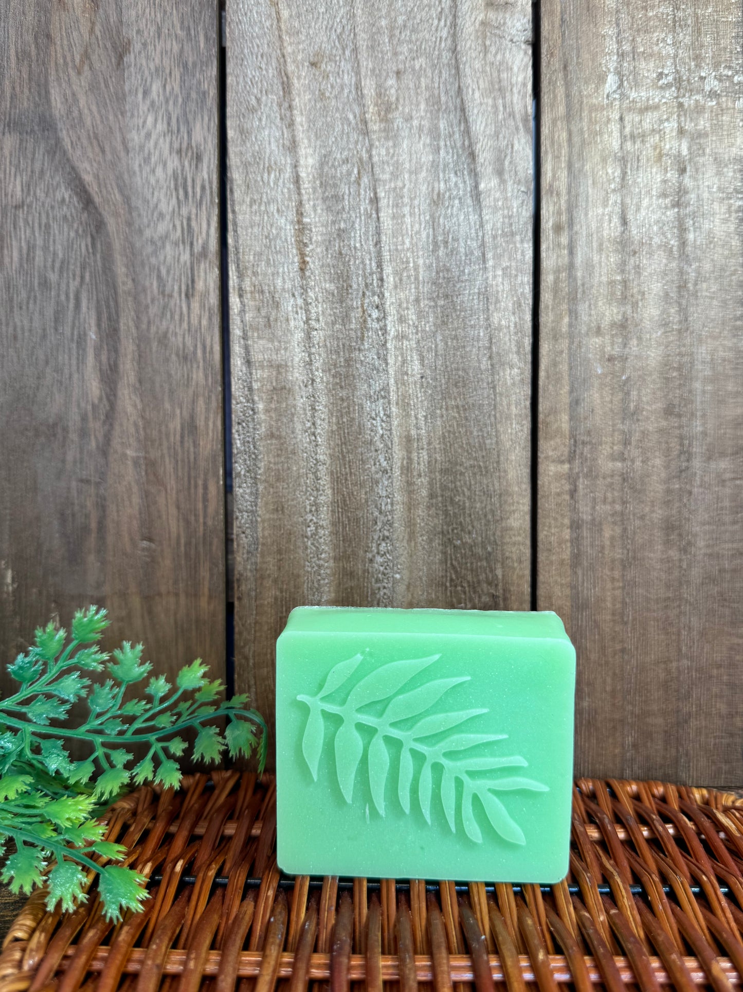 Anise shampoo