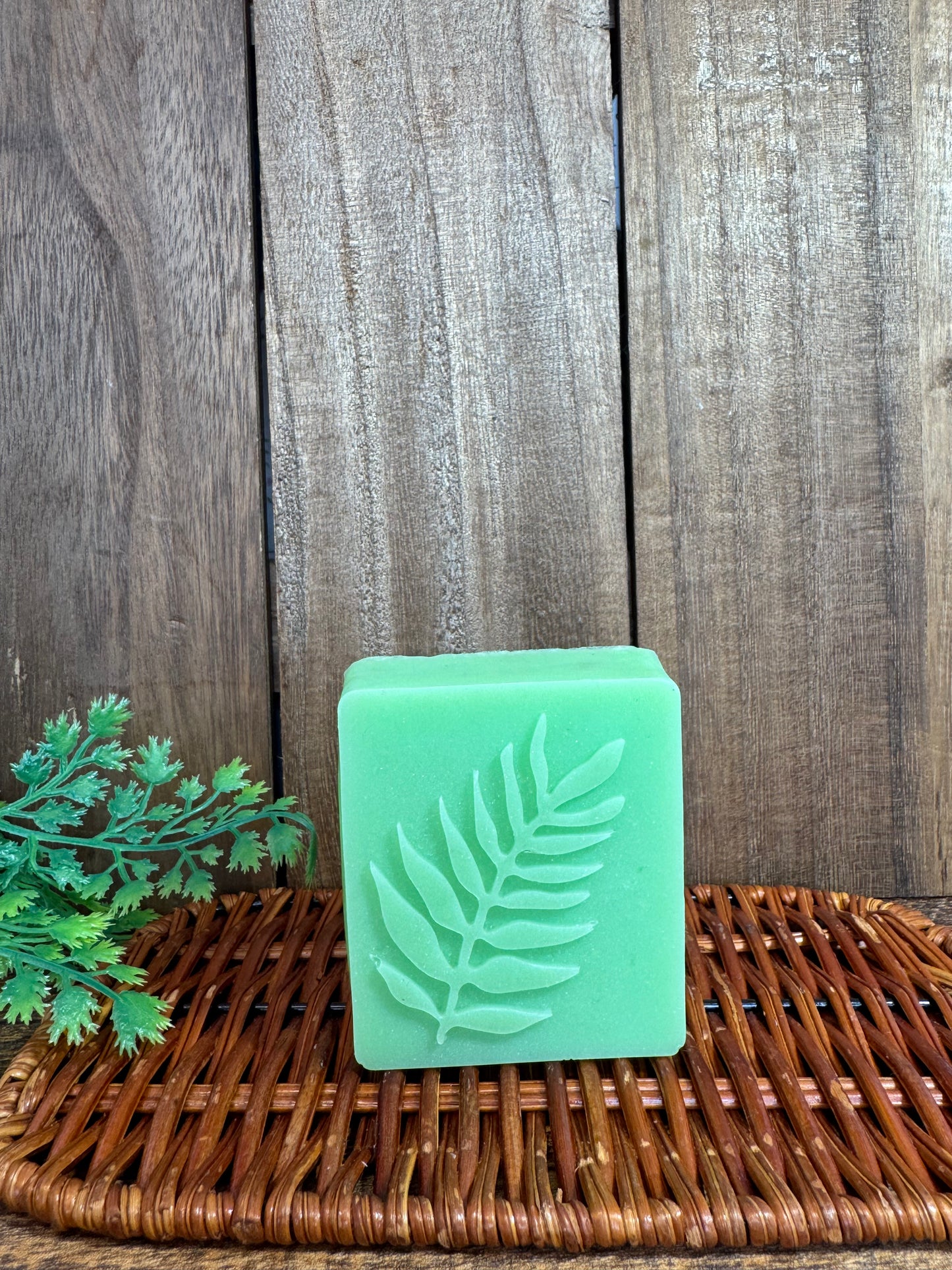 Anise shampoo