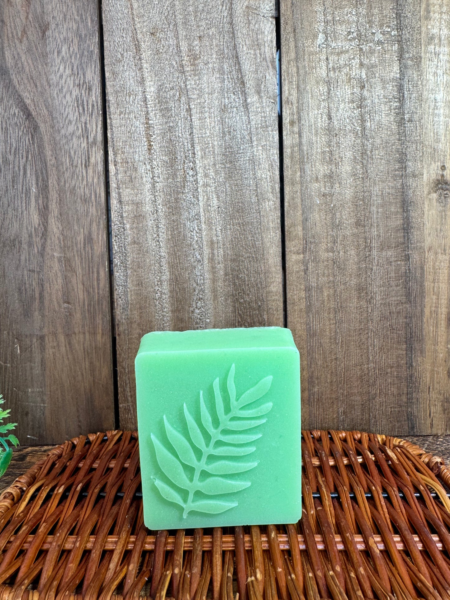 Anise shampoo
