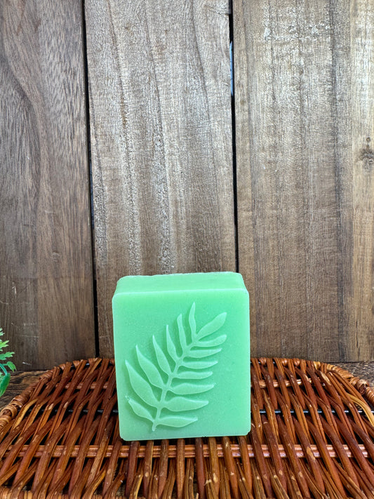 Anise shampoo
