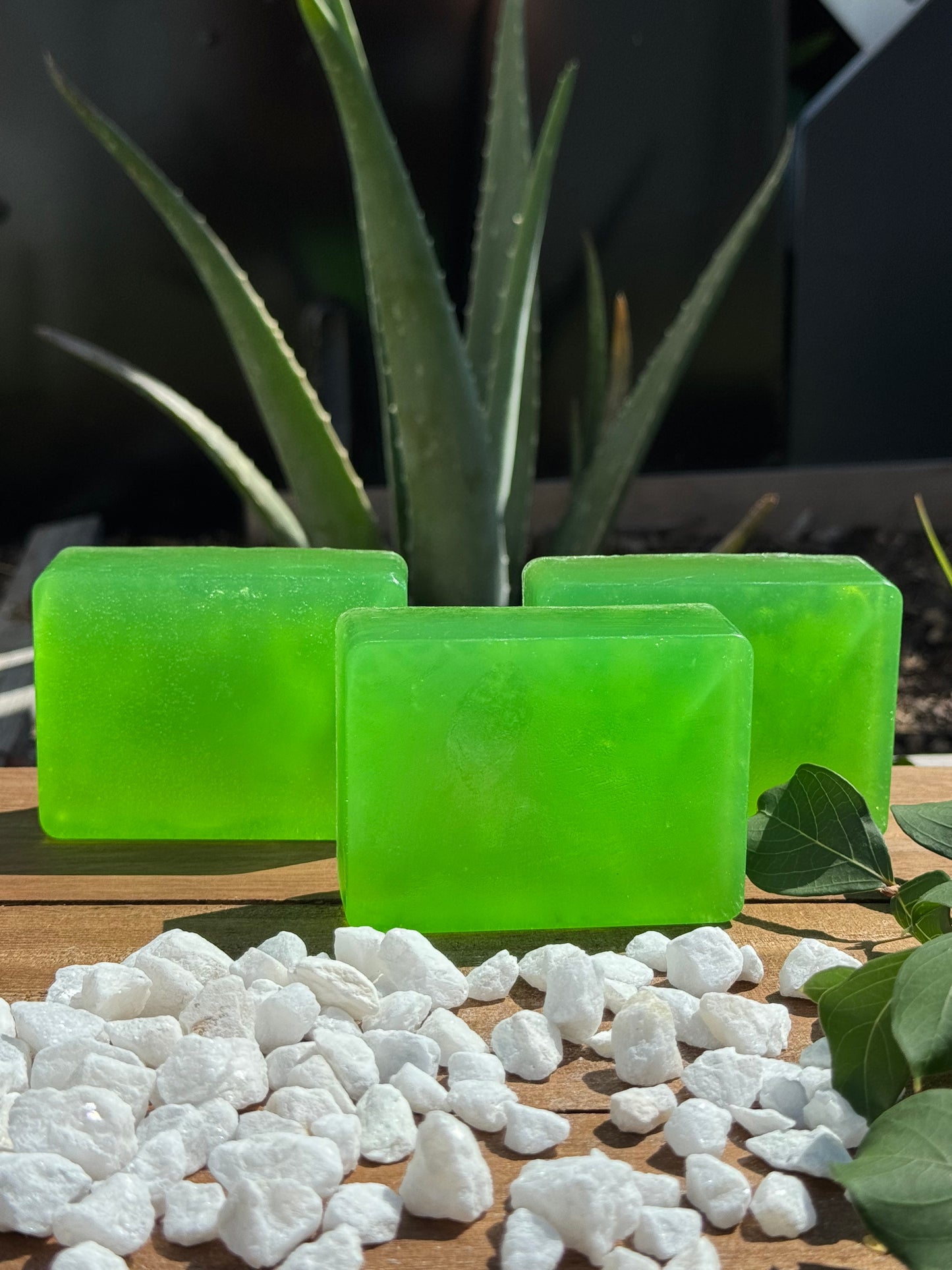 Organic Aloe vera shampoo bar