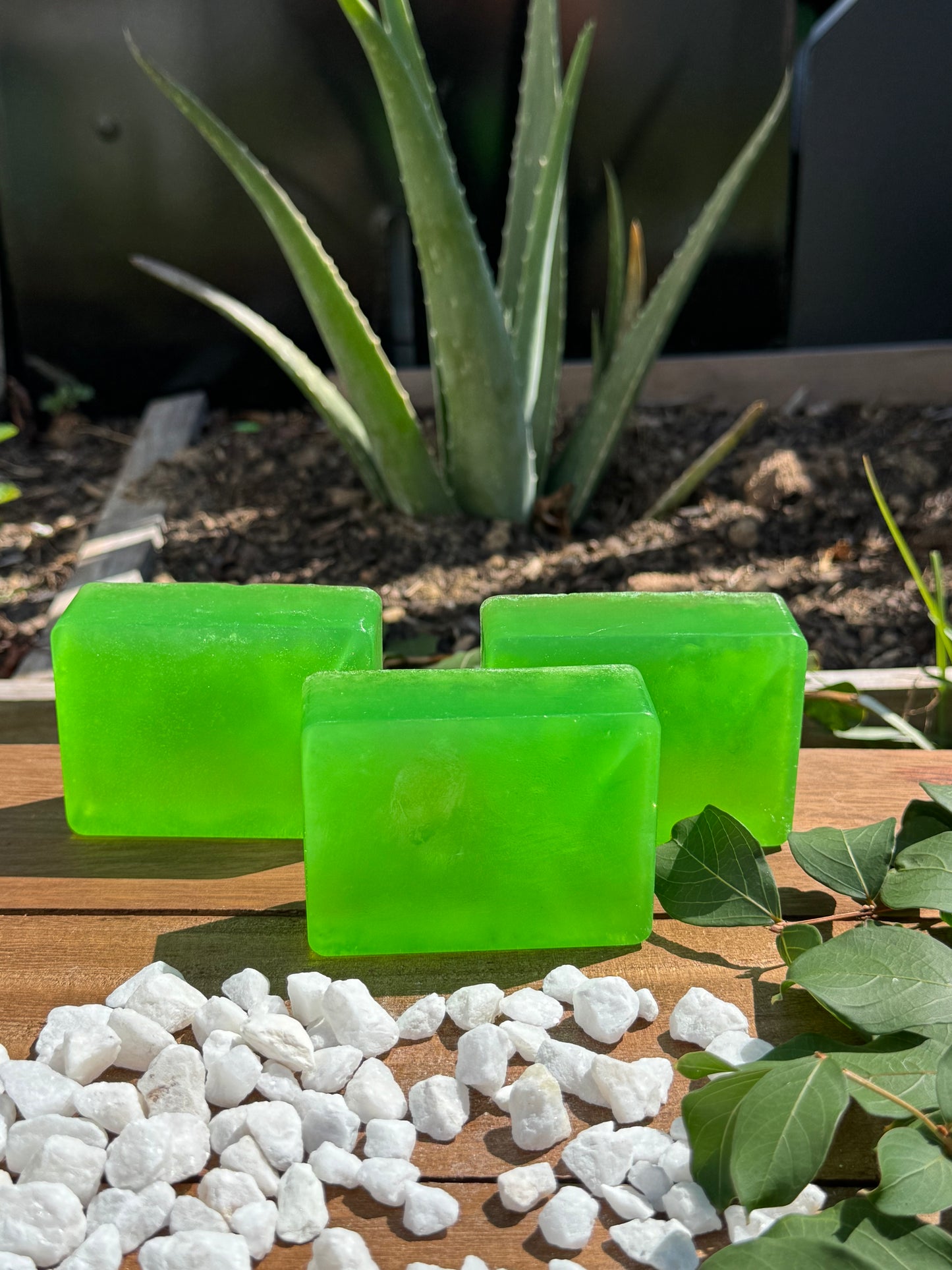 Organic Aloe vera shampoo bar