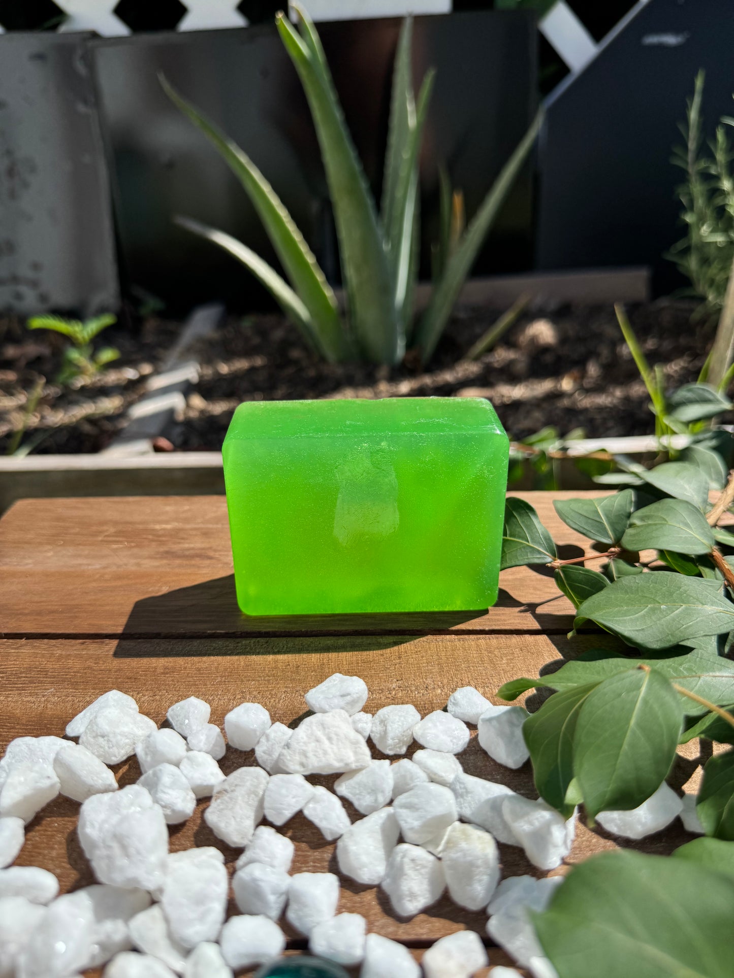 Organic Aloe vera shampoo bar