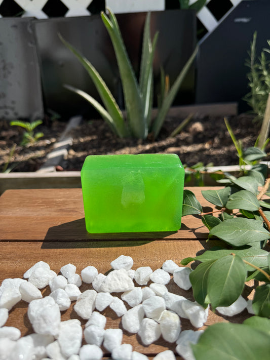 Organic Aloe vera shampoo bar